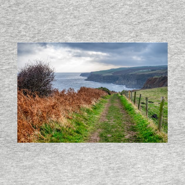 Cleveland Way North Yorkshire Coastline by stuartchard